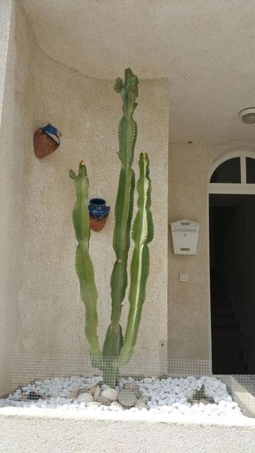 Casa El Algarrobico Villa Agua Amarga  Dış mekan fotoğraf