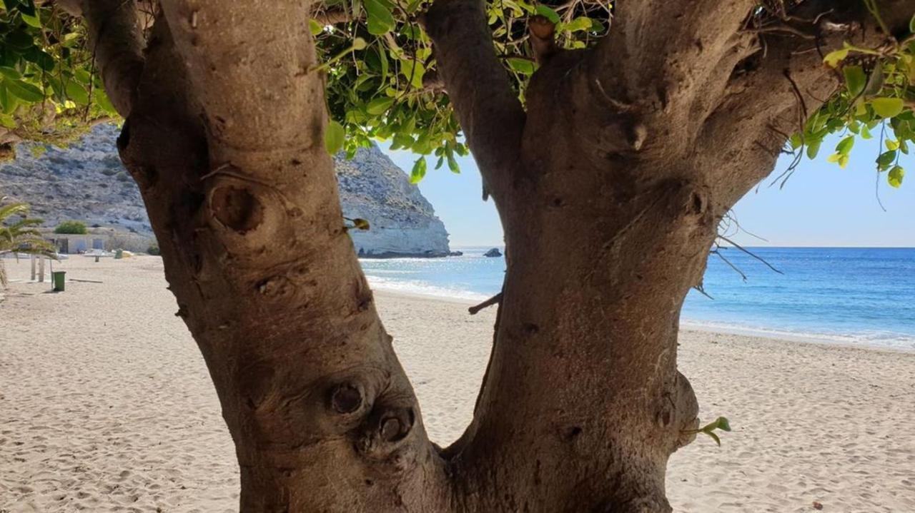 Casa El Algarrobico Villa Agua Amarga  Dış mekan fotoğraf